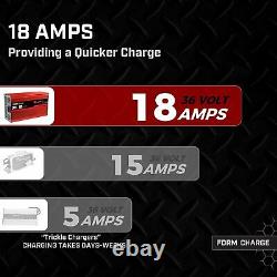 Form 18 AMP EZGO TXT Golf Cart Battery Charger for 36 Volt -D style plug