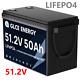 Glce 48v 50ah 100ah 200ah Lifepo4 Lithium Battery Metal Case Bms Golf Cart
