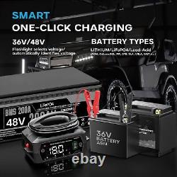 Golf Cart Battery Charger 36V 18A & 48V 13A for EZGO RXV & TXT Lithium, LiFePO4