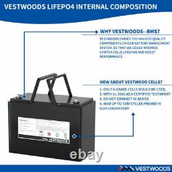 Golf Cart Lithium Battery 12V 100AH 100A BMS Rechargeable LiFePO4 for RV Camping