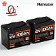 Humsienk 12v 100ah 2 Pack Lifepo4 Lithium Battery With Cable For Rv Solar Marine