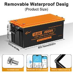 Jsdsolar 12V 400Ah LiFePO4 Lithium Battery 6000+Cycle for Marine Golf Cart Car