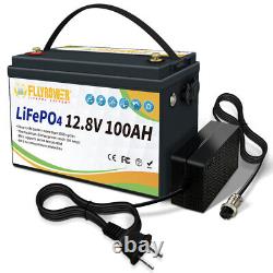 LiFePO4 12V 100AH Lithium Battery BMS Camper Golf Cart RV Solar Series/Parallel