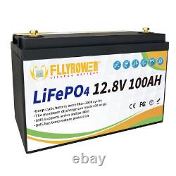 LiFePO4 12V 100AH Lithium Battery BMS Camper Golf Cart RV Solar Series/Parallel