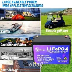 LiFePO4 12V 100Ah Lithium Battery Deep Cycle Rechargeable for Solar RV 100A BMS