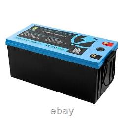 LiFePO4 24V 100Ah Lithium Battery with BMS Iron Phosphate Solar Power Bank EU