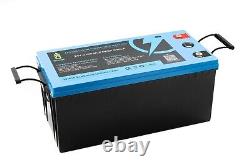 LiFePO4 24V 100Ah Lithium Battery with BMS Iron Phosphate Solar Power Bank EU