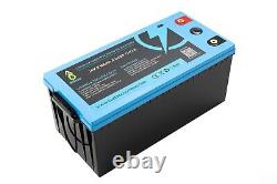 LiFePO4 24V 100Ah Lithium Battery with BMS Iron Phosphate Solar Power Bank EU