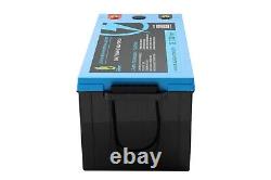 LiFePO4 24V 100Ah Lithium Battery with BMS Iron Phosphate Solar Power Bank EU