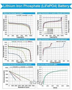 LiFePO4 24V 100Ah Lithium Battery with BMS Iron Phosphate Solar Power Bank EU