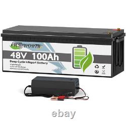 LiFePO4 48V 100Ah Lithium Battery 200A BMS for Golf cart EV RV 10 Year warranty