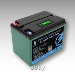 LiFePO4 Battery 12V 50Ah with BMS Lithium Iron Phosphate Solar Power Bank RV LFP