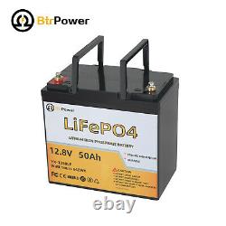 LiFePO4 Deep Cycle Battery 12V 50Ah With 100A BMS For Golf Cart RV Solar System