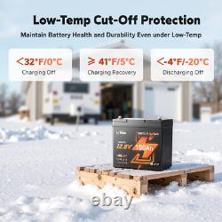 LiTime 12V 100Ah Xtra-Mini Bluetooth Small Lithium LiFePO4 Battery for RV Marine