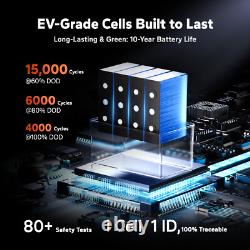 LiTime 12V 100Ah Xtra-Mini Bluetooth Small Lithium LiFePO4 Battery for RV Marine