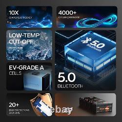 LiTime 48V 100Ah Bluetooth Golf Cart Lithium Battery with Low Temp. Protection BMS