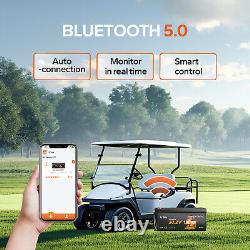 LiTime 48V 100Ah Bluetooth Golf Cart Lithium Battery with Low Temp. Protection BMS