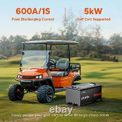 LiTime 48V 100Ah Golf Cart Lithium Battery with Communication+Charger+Monitor