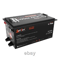 LiTime 48V 100Ah Golf Cart Lithium Battery with Communication+Charger+Monitor