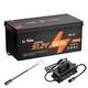 Litime 48v (51.2v) 60ah Golf Cart Lifepo4 Lithium Battery With 58.4v 18a Charger