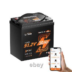 LiTime Bluetooth 48V 30Ah GC2 Lithium Golf Cart Battery 100A BMS with 18A Charger