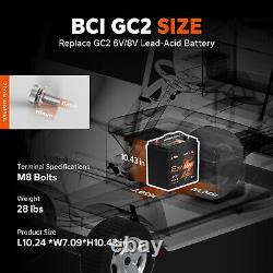 LiTime Bluetooth 48V 30Ah GC2 Lithium Golf Cart Battery 100A BMS with 18A Charger