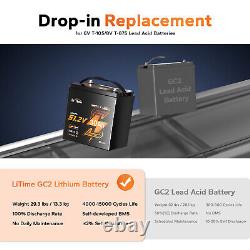 LiTime Bluetooth 48V 30Ah GC2 Lithium Golf Cart Battery 100A BMS with 18A Charger