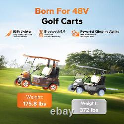 LiTime Bluetooth 48V 30Ah GC2 Lithium Golf Cart Battery 100A BMS with 18A Charger