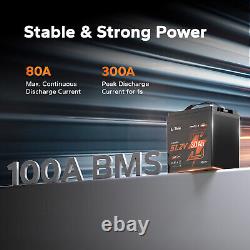 LiTime Bluetooth 48V 30Ah GC2 Lithium Golf Cart Battery 100A BMS with 18A Charger