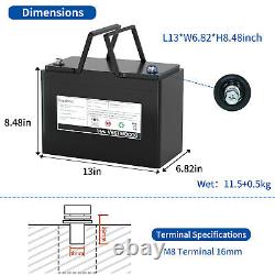 Low Temp SOLAR RV BOAT OFFGRID GOLF CART 12V100AH Lithium Iron LIFEPO4 1280Wh