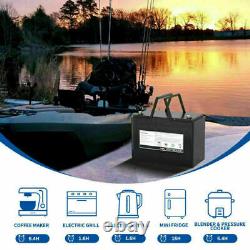 Low Temp SOLAR RV BOAT OFFGRID GOLF CART 12V100AH Lithium Iron LIFEPO4 1280Wh