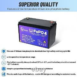 NEW LiFePO4 12V 100Ah Lithium Battery Deep Cycle Rechargeable for Solar RV Boat