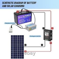 NEW LiFePO4 12V 100Ah Lithium Battery Deep Cycle Rechargeable for Solar RV Boat