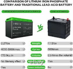 New 100Ah Lithium LFP THISS Battery 12V Charger Solar RV EV Deep Cycle Hybrid US