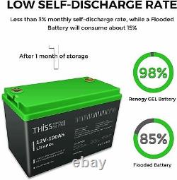 OEM 12V 100AH DEEP LiFePO4 Cycle Solar Energy Storage Battery Lithium Phosphate