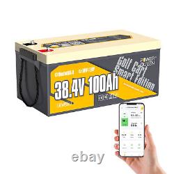 Power Queen 36V/72V 100Ah Bluetooth LiFePO4 Battery BMS Golf Cart Outboard Motor