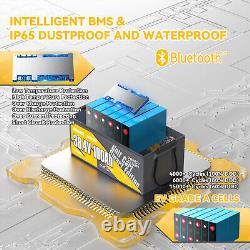 Power Queen 36V/72V 100Ah Bluetooth LiFePO4 Battery BMS Golf Cart Outboard Motor