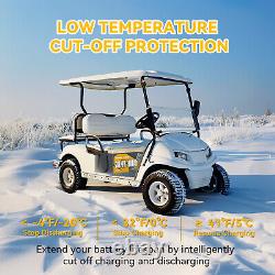Power Queen 36V/72V 100Ah Bluetooth LiFePO4 Battery BMS Golf Cart Outboard Motor
