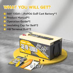 Power Queen 36V/72V 100Ah Bluetooth LiFePO4 Battery BMS Golf Cart Outboard Motor