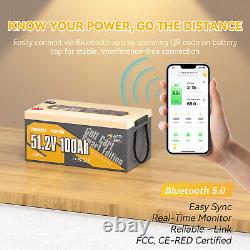 Power Queen 48V 100Ah Bluetooth Golf Cart Lithium Battery Low Temp. Cut Off BMS