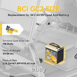 Power Queen 48V 30Ah Bluetooth Low Temp Golf Cart Lithium Battery BMS Deep Cycle