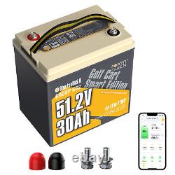 Power Queen 48V 30Ah Bluetooth Low Temp LiFePO4 Battery For Golf Cart Lawn Mower