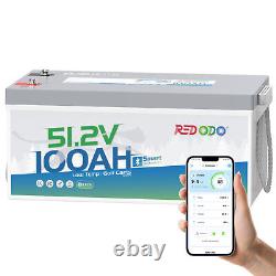 Redodo 48V 100Ah Golf Cart LiFePO4 Battery with 200A BMS Bluetooth, Low Temp