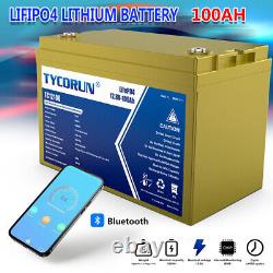 TYCORUN 12V 100Ah LiFePO4 Smart Lithium Iron Battery With Built-in Bluetooth IP65