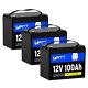 Wattcycle 12v 24v 36v 48v 100ah Lifepo4 Lithium Battery Low-temp For Rv Off-grid