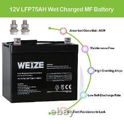 Weize 12V 75AH SLA Replacement Battery for Scooter Wheelchair Mobility UB12750