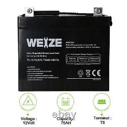 Weize 12V 75AH SLA Replacement Battery for Scooter Wheelchair Mobility UB12750