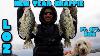 Winter Crappie Report Lake Of The Ozarks